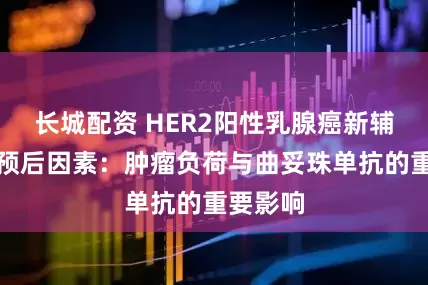 长城配资 HER2阳性乳腺癌新辅助化疗预后因素：肿瘤负荷与曲妥珠单抗的重要影响