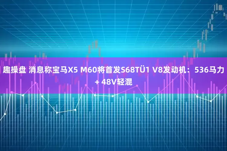 趣操盘 消息称宝马X5 M60将首发S68TÜ1 V8发动机：536马力+ 48V轻混