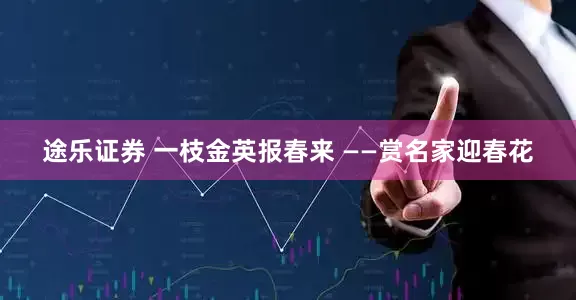 途乐证券 一枝金英报春来 ——赏名家迎春花